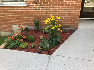 St. Mary School Pollinator Garden