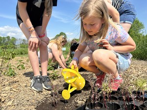 Planting The Selfish Giant's Garden at Westben